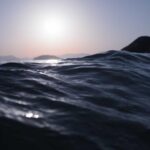 Dados Cerebrais sao o futuro da neurologia