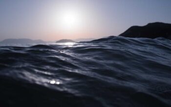 Dados Cerebrais sao o futuro da neurologia