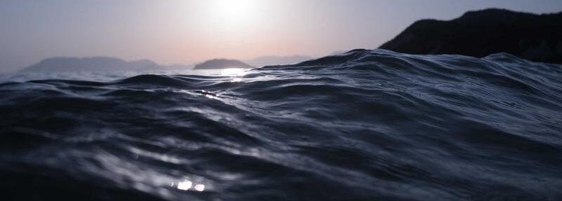 Dados Cerebrais sao o futuro da neurologia