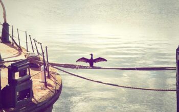 China estabelece recorde mundial ao perfurar mais de 3 mil metros de gelo na Antártica